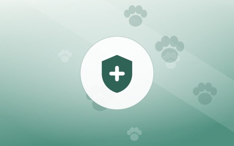 Illustration of a shield on a warm background