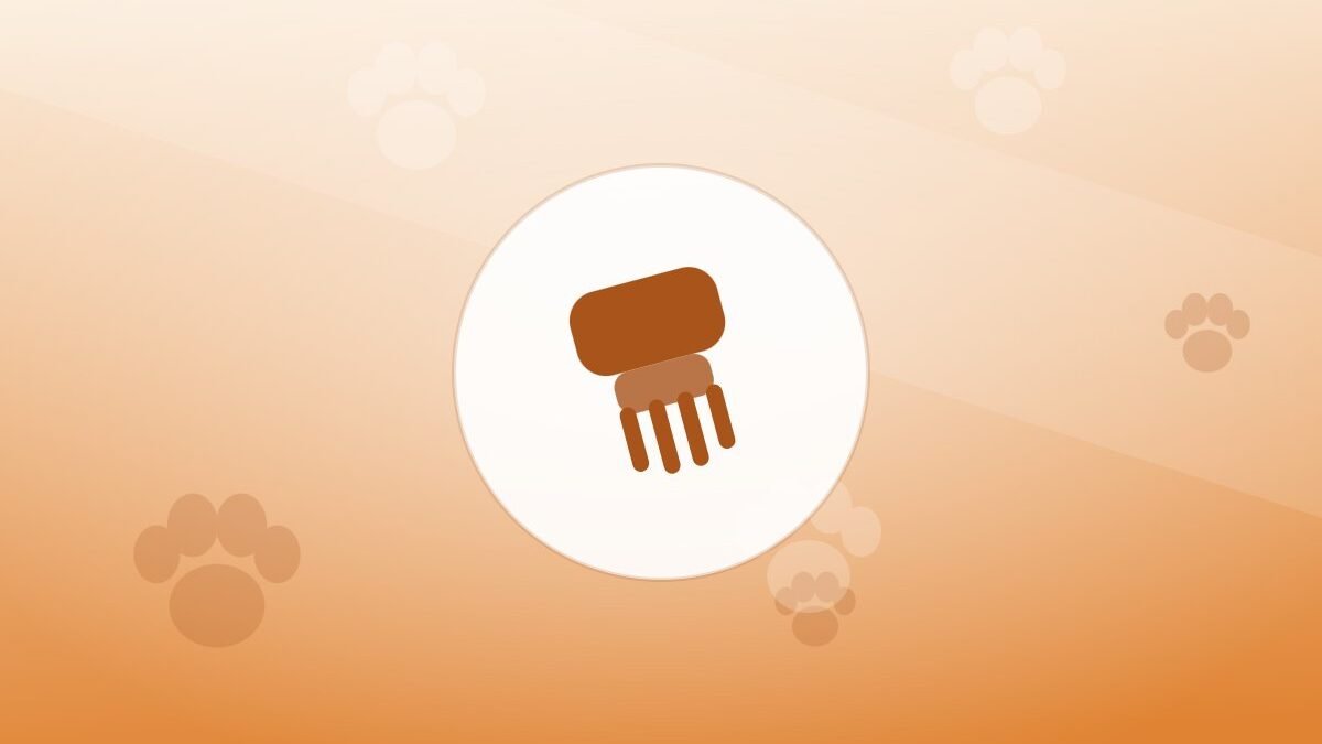 Illustration of a grooming brush on a warm background