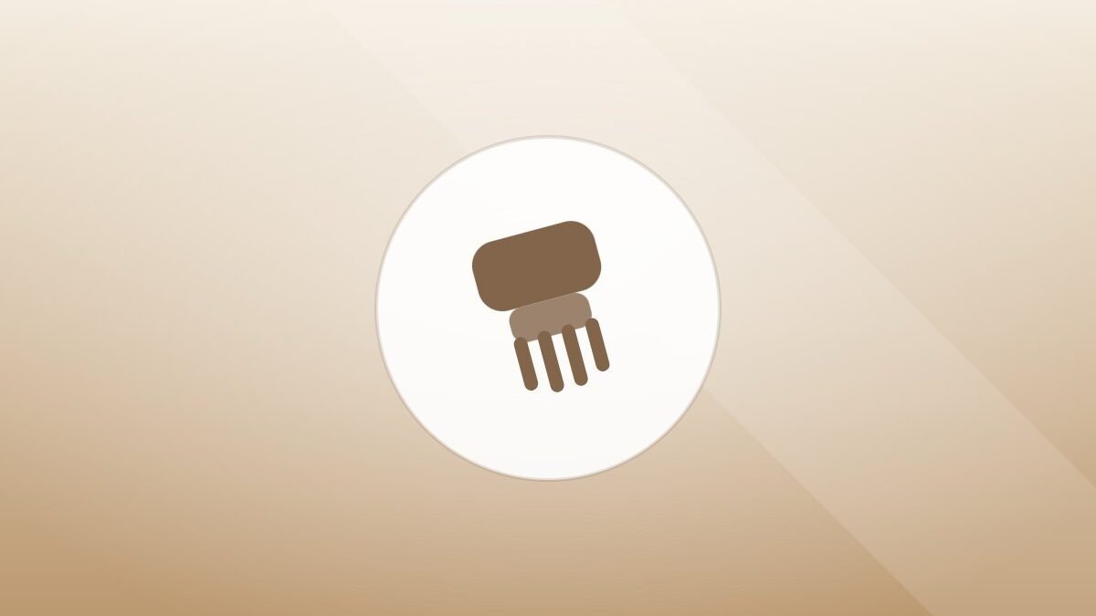 Illustration of a grooming brush on a warm background