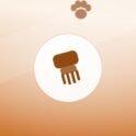 Illustration of a grooming brush on a warm background