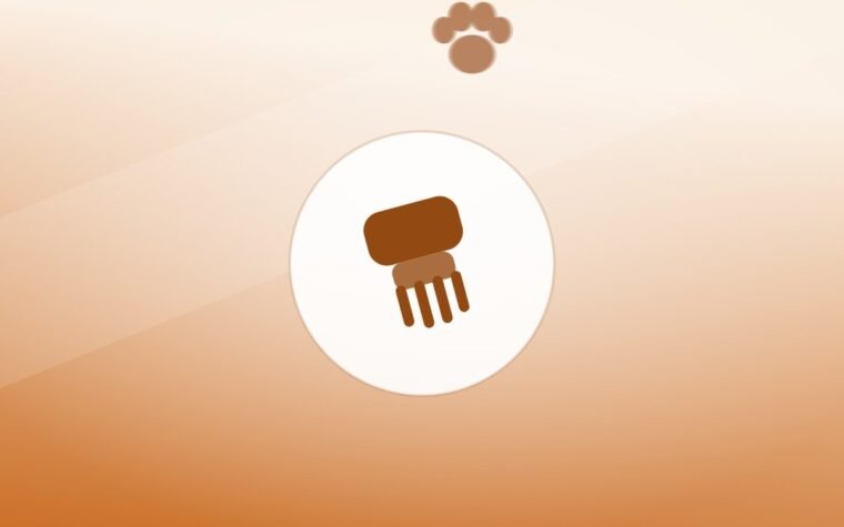 What a New Puppy Actually Needs in the First Month