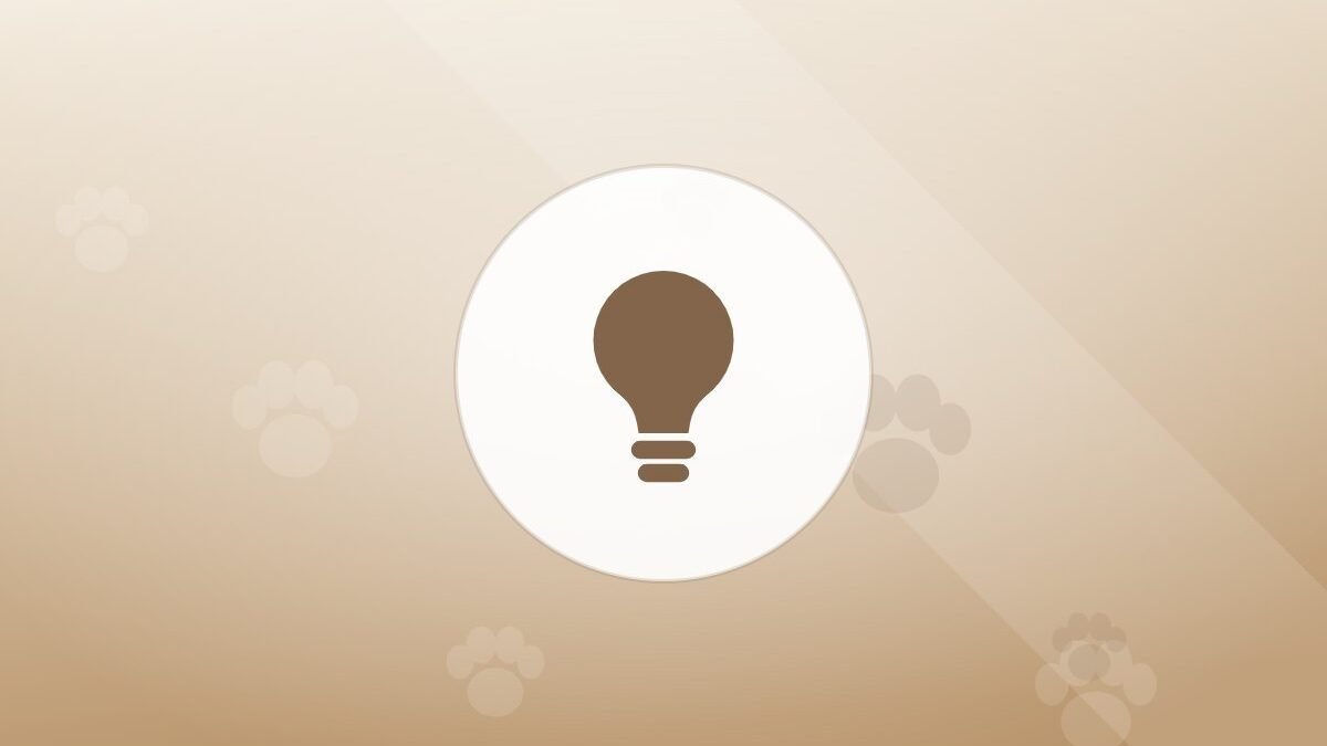 Illustration of a lightbulb on a warm background