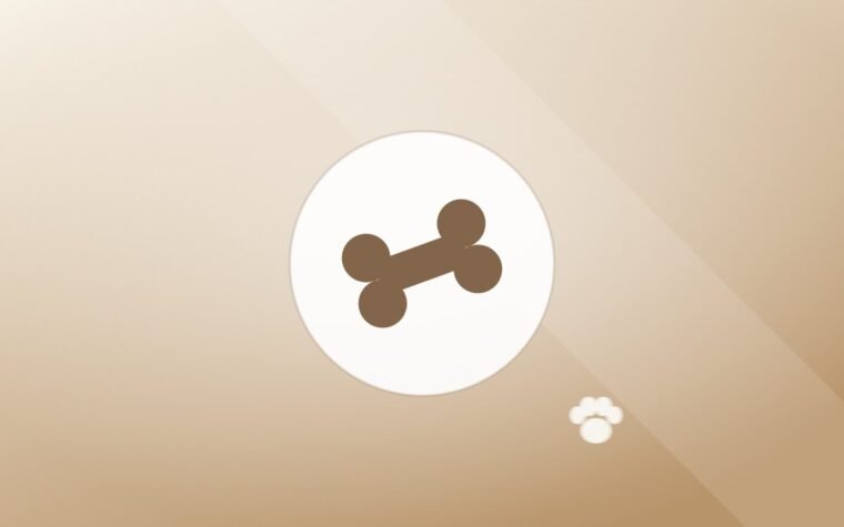 Illustration of a dog bone on a warm background