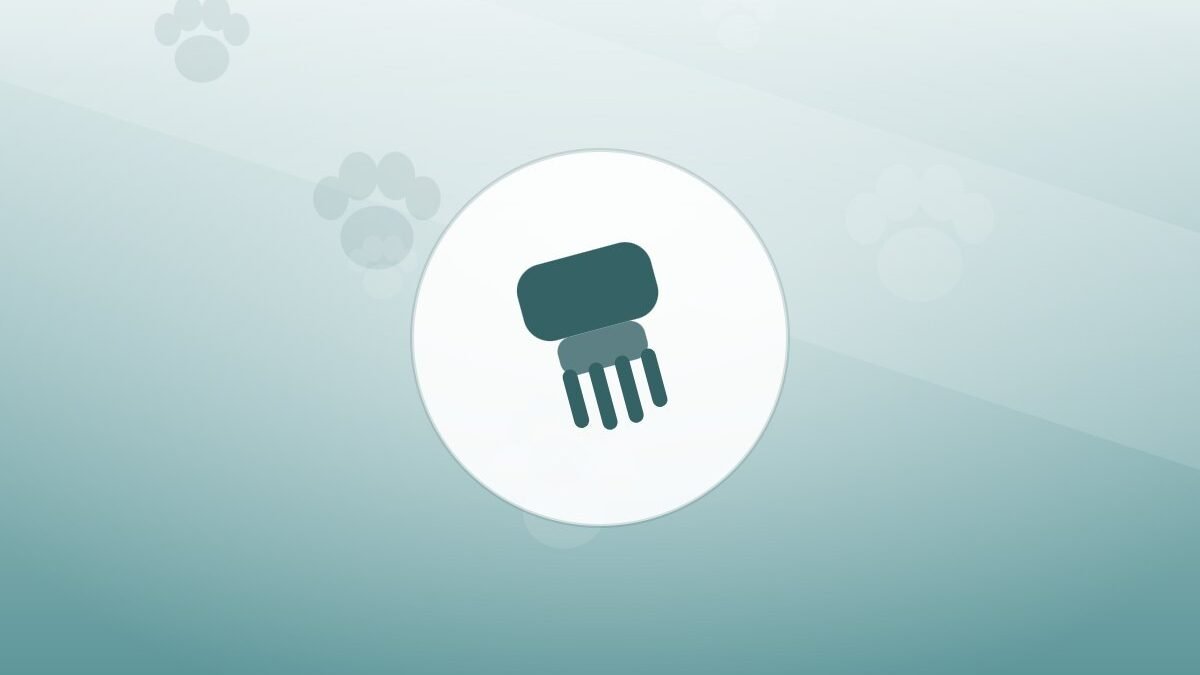 Illustration of a grooming brush on a warm background