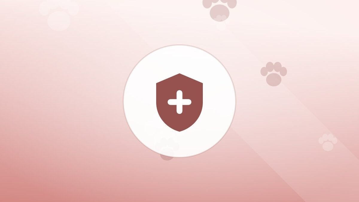 Illustration of a shield on a warm background