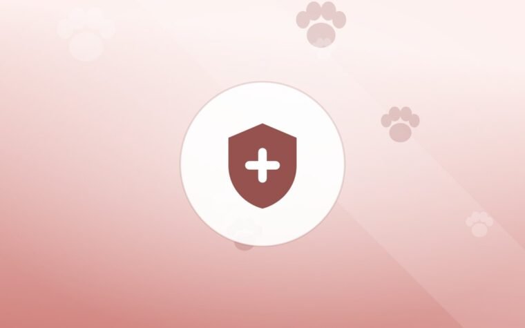 Illustration of a shield on a warm background