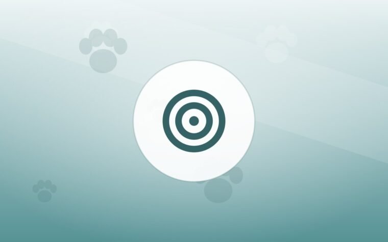 Illustration of a training target on a warm background