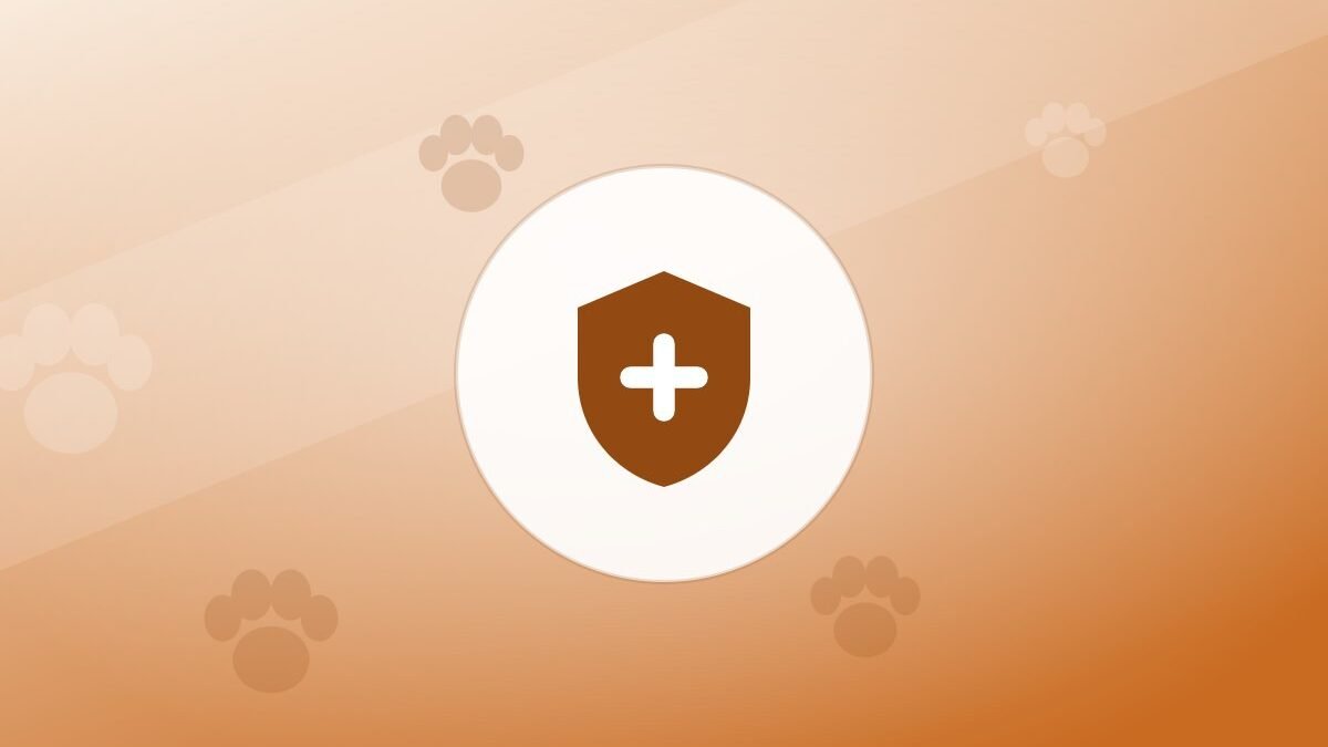 Illustration of a shield on a warm background