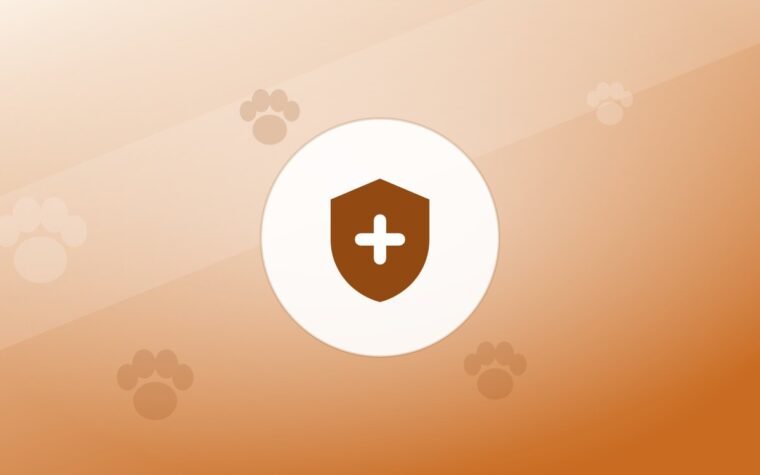 The Senior Dog Health Checklist
