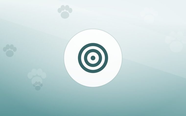 Illustration of a training target on a warm background