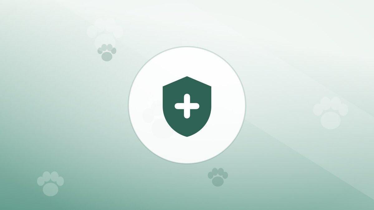 Illustration of a shield on a warm background