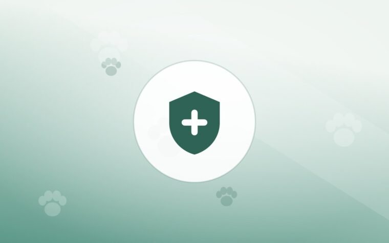 Illustration of a shield on a warm background
