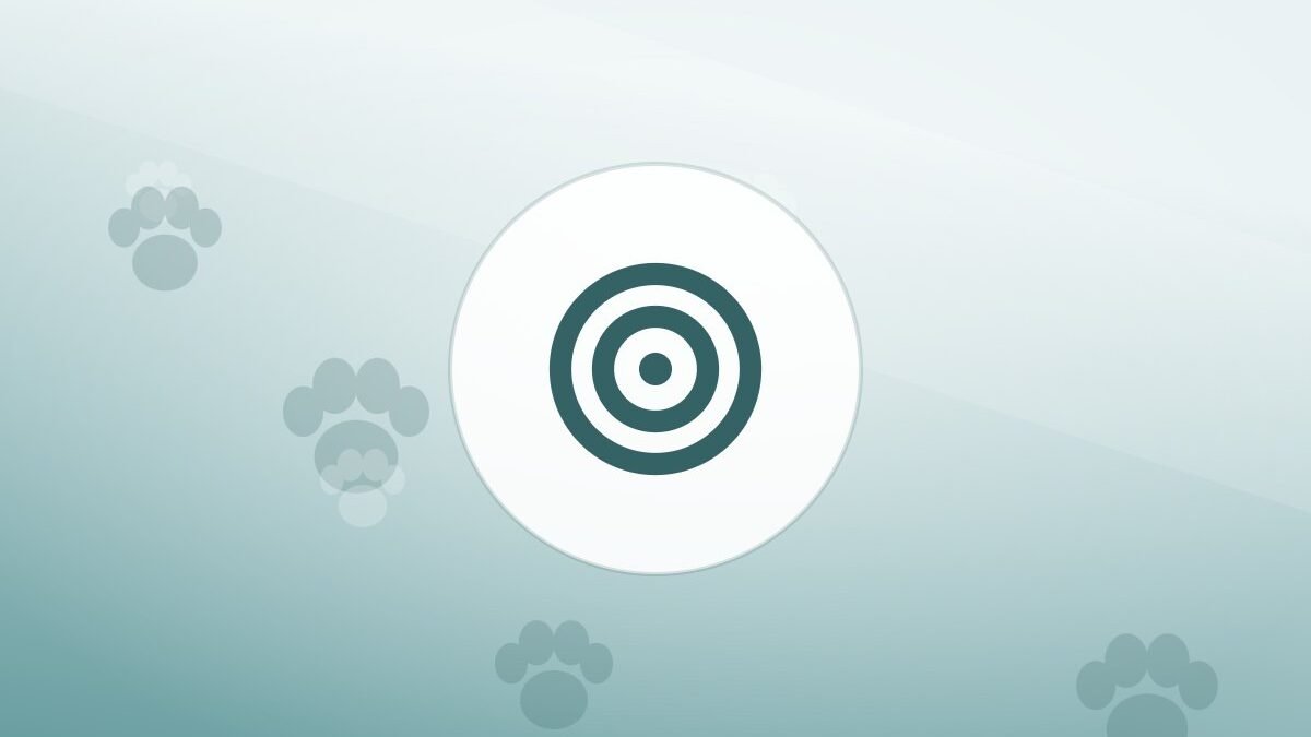 Illustration of a training target on a warm background