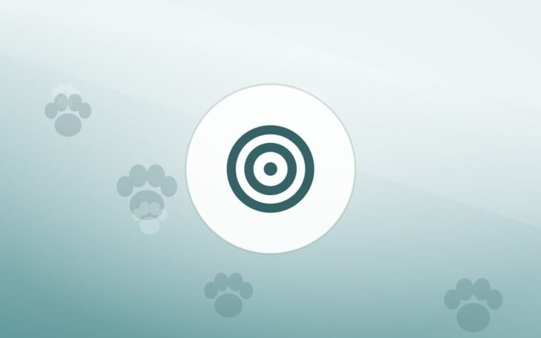 Illustration of a training target on a warm background