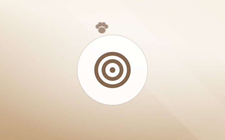 Illustration of a training target on a warm background