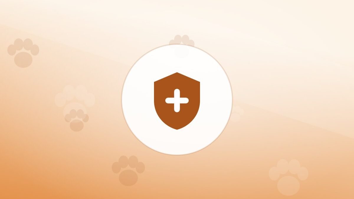 Illustration of a shield on a warm background