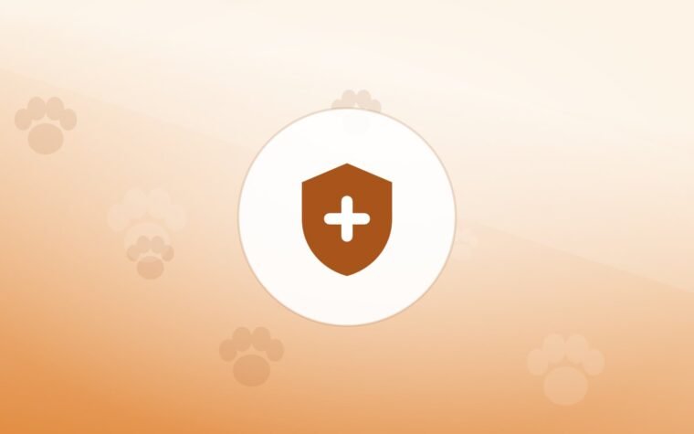 When to Call the Vet: A Triage Guide