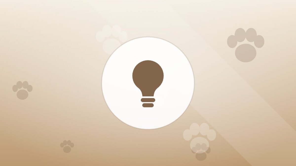 Illustration of a lightbulb on a warm background
