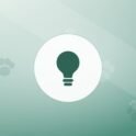 Illustration of a lightbulb on a warm background