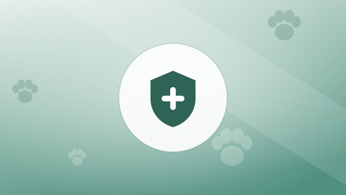Illustration of a shield on a warm background