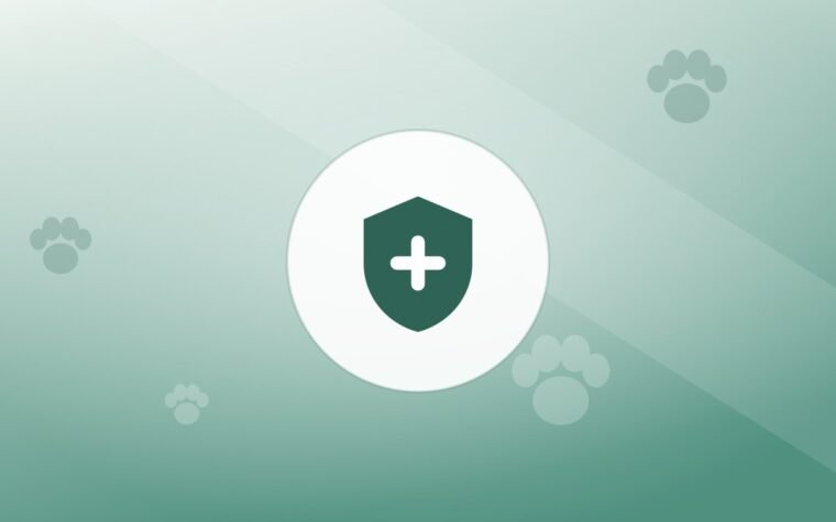 Illustration of a shield on a warm background